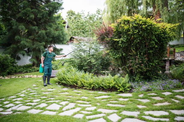 Best Pest Removal Services  in Massapequa, NY